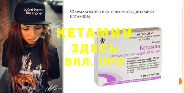 крисы Каменка