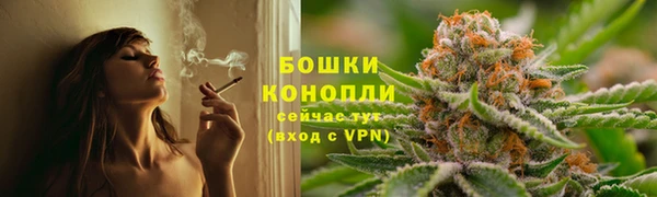 бошки Каменногорск
