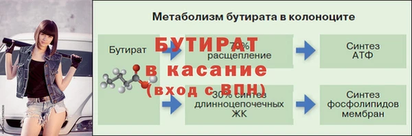 крисы Каменка