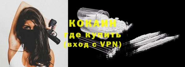 крисы Каменка