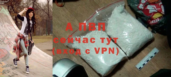 крисы Каменка