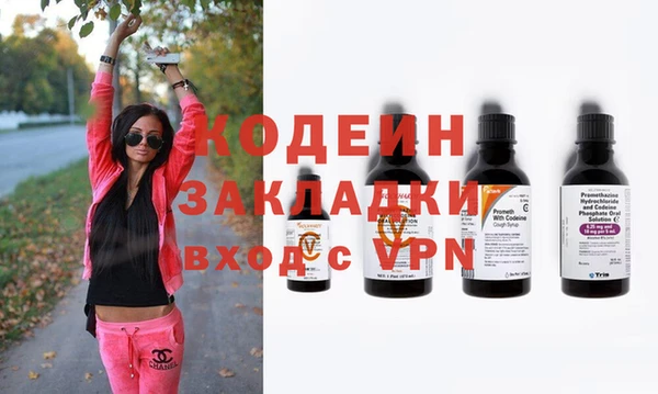 крисы Каменка