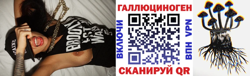 Галлюциногенные грибы прущие грибы  закладки  Дыгулыбгей 